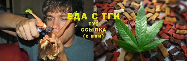 мдпв Гусев