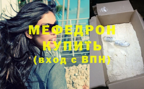 мдпв Гусев