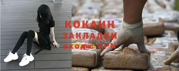 гидра Гусь-Хрустальный