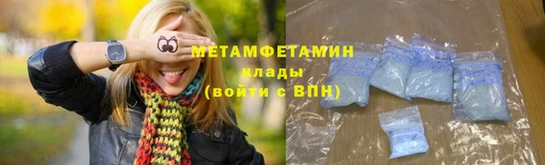 мдпв Гусев