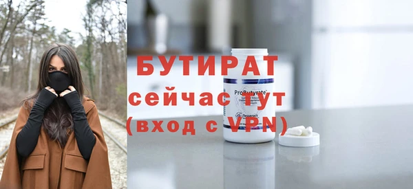 мдпв Гусев
