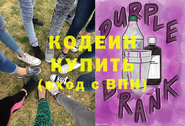 гидра Гусь-Хрустальный