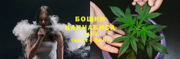 мдпв Гусев