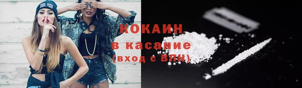 мдпв Гусев