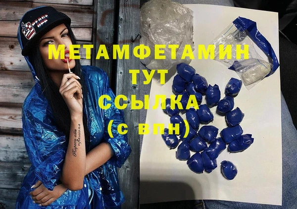 мдпв Гусев