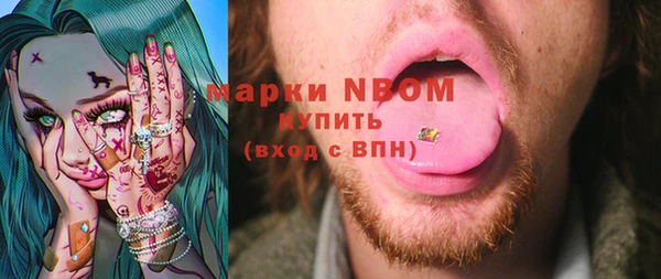гидра Гусь-Хрустальный