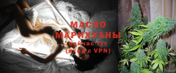мдпв Гусев