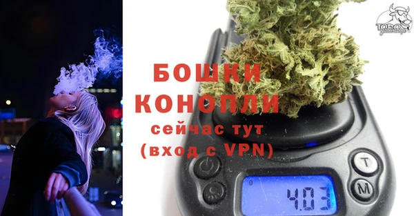 гидра Гусь-Хрустальный