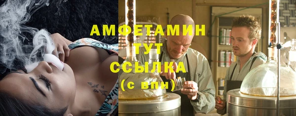 мдпв Гусев