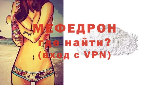 мдпв Гусев
