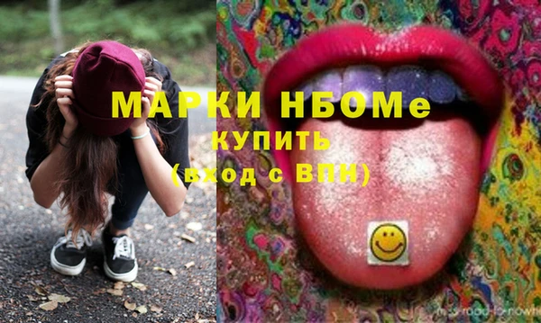 мдпв Гусев
