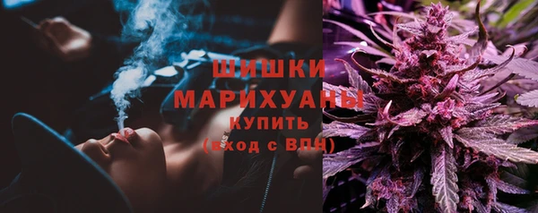 гидра Гусь-Хрустальный