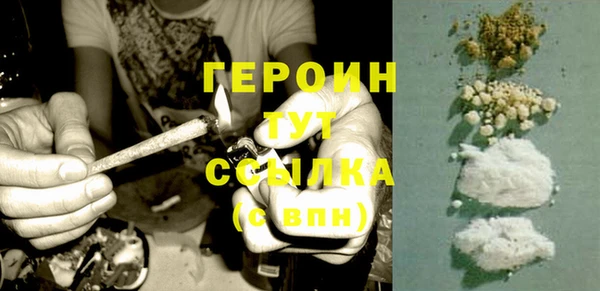 мдпв Гусев