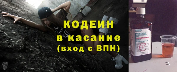 мдпв Гусев