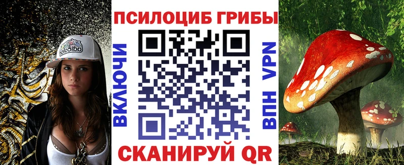 hydra ссылки  Оленегорск  Галлюциногенные грибы Magic Shrooms 